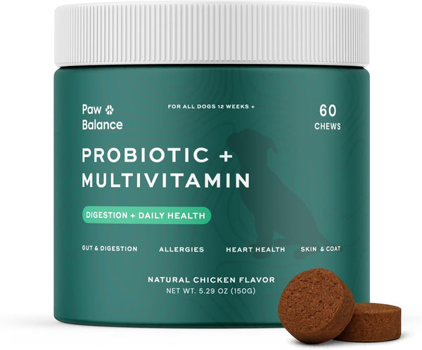 Dog Probiotics and Multivitamin Chews for Digestive Health, Immune Support, Gut Health, Allergy Support, Dog Vitamins, with Vitamin C, Omega 3, Colostrum, 60 Soft Chews per Jar1
