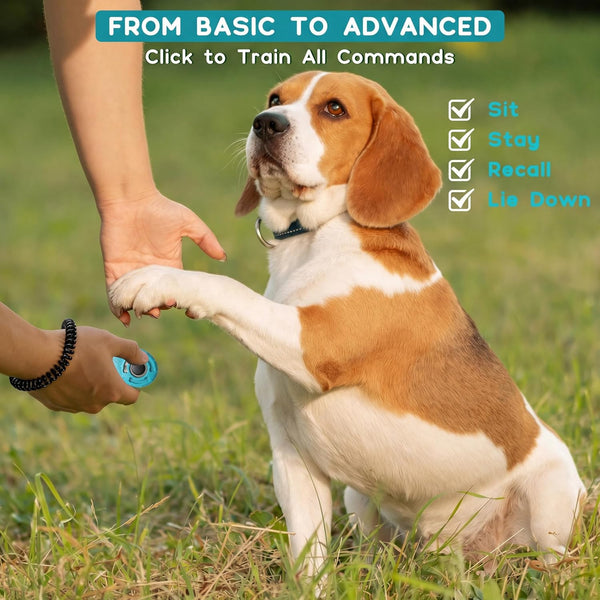 Dog Training Clicker with Sring Wrist and Keyring - Pet Dog Training Clickers for Puppy, Cat, Potty, Bird, Horse, Pet, Trainer Training Tools, Behavior Aids5