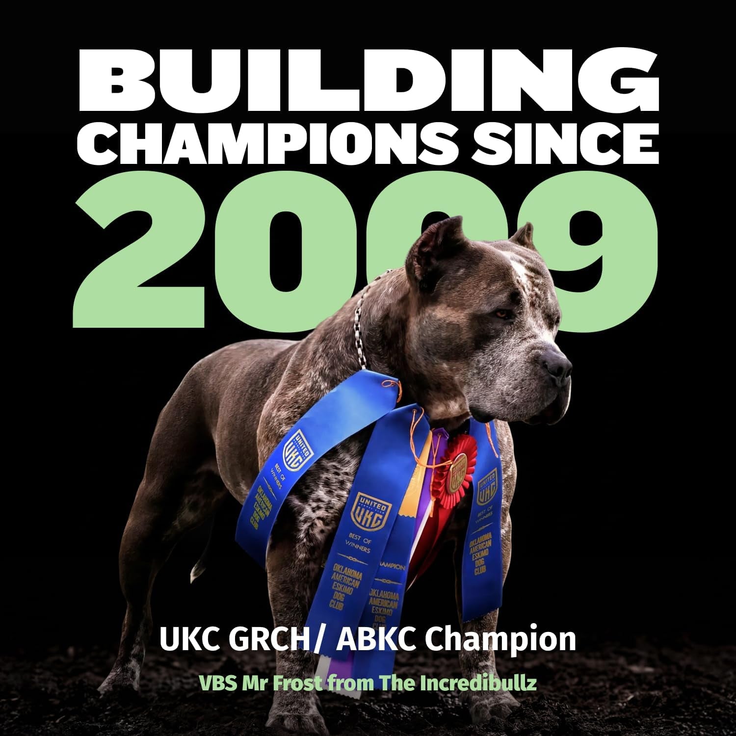 bully-max-puppy-food-24-14-high-protein-growth-formula-dry-dog-food-with-lamb-and-rice-for-small-and-large-breed-puppies-chicken-free-419-cal-cup-sensitive-stomach-kibble-5-lb-bag