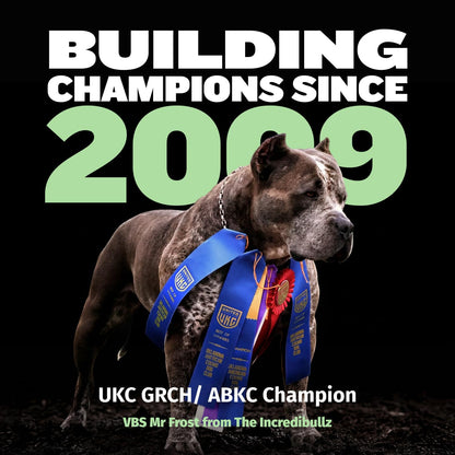 Bully Max Puppy Food 24/14 High Protein & Growth Formula - Dry Dog Food with Lamb and Rice for Small and Large Breed Puppies - Chicken Free, 419 Cal/Cup, Sensitive Stomach Kibble, 5 Lb Bag9