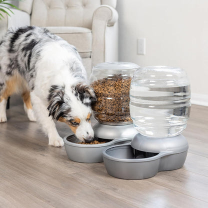 Petmate Replendish Feeder Automatic Cat and Dog Feeder, Pearl Peacock Blue, 10 LB, Made in USA7