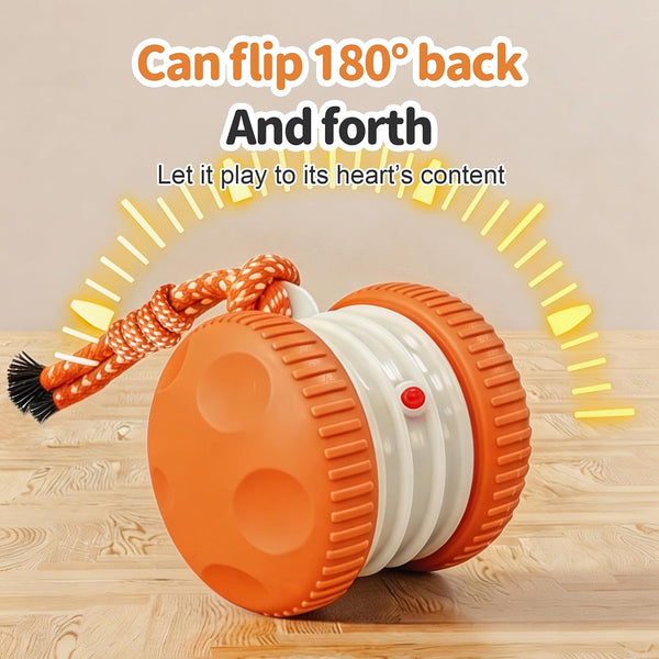 Interactive Dog Toys, Automatic Rolling Ball with Rope, Orange | Motion-Activated Play, Random Path Electric Dog Ball, Bird Sounds, Mental Stimulation for Boredom Relief5