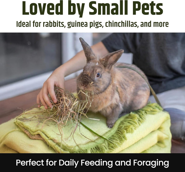 High Desert 2Nd Cutting Timothy Hay for Rabbits, Guinea Pigs, 4 Lb | Soft Leafy Texture with Balanced Fiber, Supports Healthy Digestion, Great for Chinchillas, Hand Packed in the USA, Low Dust4