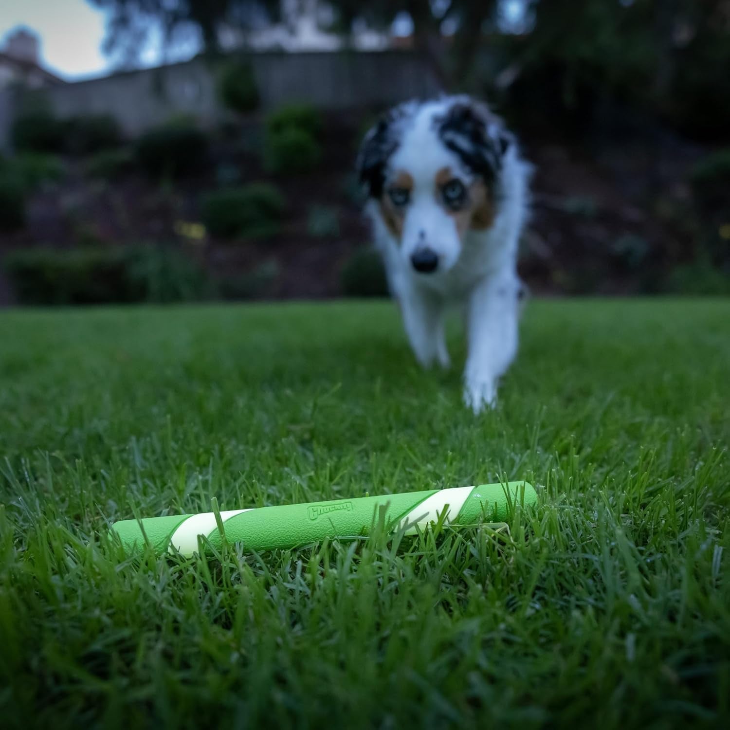 chuckit-max-glow-ultra-fetch-stick-outdoor-dog-toy-12-inches-for-all-breed-sizes