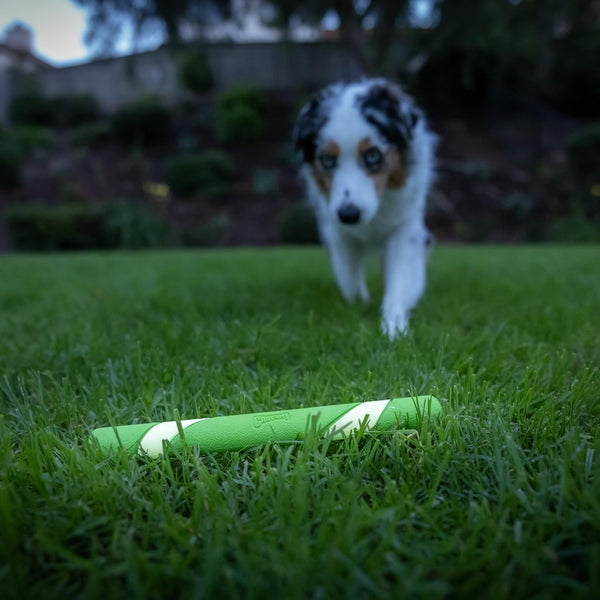 Chuckit! Max Glow Ultra Fetch Stick Outdoor Dog Toy, 12 Inches, for All Breed Sizes5
