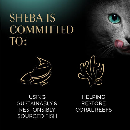 Sheba Selections Filets Wet Cat Food Complement, Variety, 1.3 Oz, 24 Ct | Grain-Free, Real Chicken #1 Ingredient, No Corn or Soy, No Artificial Flavors, Peel & Serve Topper or Treat, 1.3 Oz. Cups8