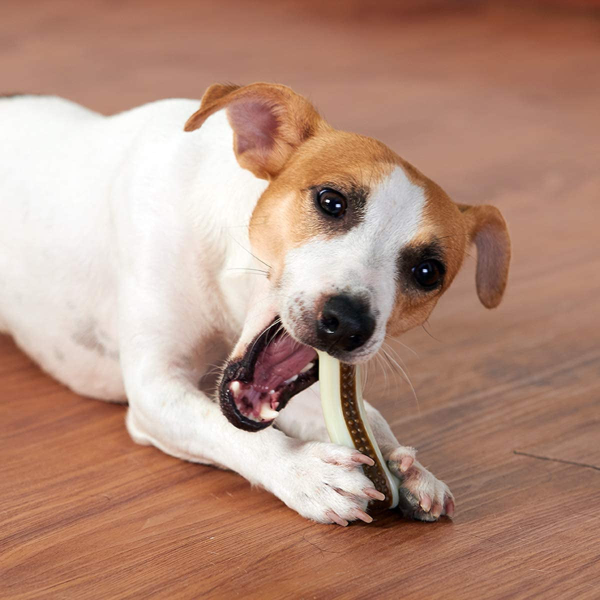 dog-chew-toys-for-aggressive-chewers-large-breed-2-pack-beef-flavor-indestructible-dog-teething-chew-toys-bones-for-large-medium-small-puppies-pet-toy-with-nylon