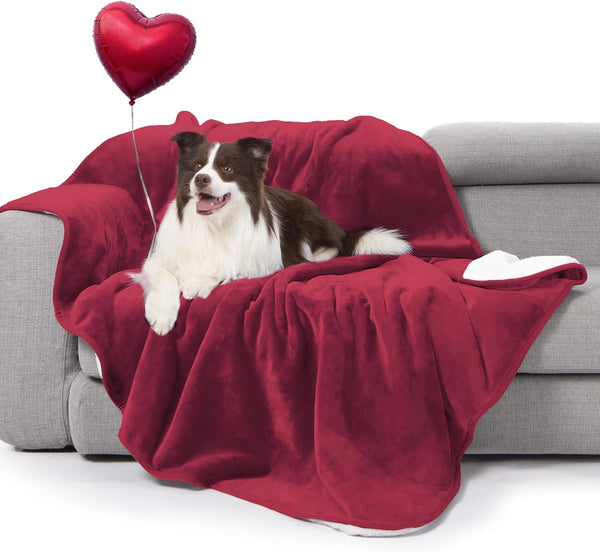 Gogobunny Waterproof Bed Blanket, Reversible Sherpa Fleece Throw Blanket for Dog Puppy Cat, Furniture Cover Protects Bed Couch Sofa from Liquid Pee and Pet Fur (Dark Purple, 50X60 Inches)43