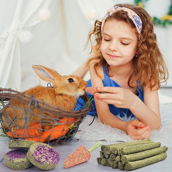 KATUMO Timothy Hay Sticks, Rabbit Chew Sticks Bunny Chew Toys for Teeth | 24Pcs, Healthy Rabbit Food, Rabbit Chew Toys for Teeth, Suitable for Rabbits, Guinea Pigs Hamster Chinchilla and Small Pets4