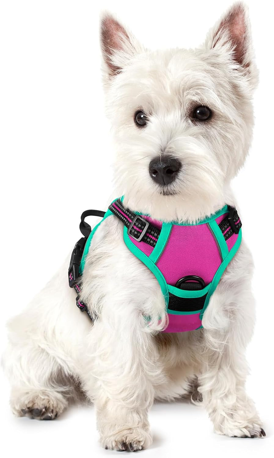 rabbitgoo-dog-harness-no-pull-for-large-dogs-with-2-leash-clips-pet-vest-no-choke-with-handle-adjustable-soft-padded-reflective-easy-control-for-walking-black-large