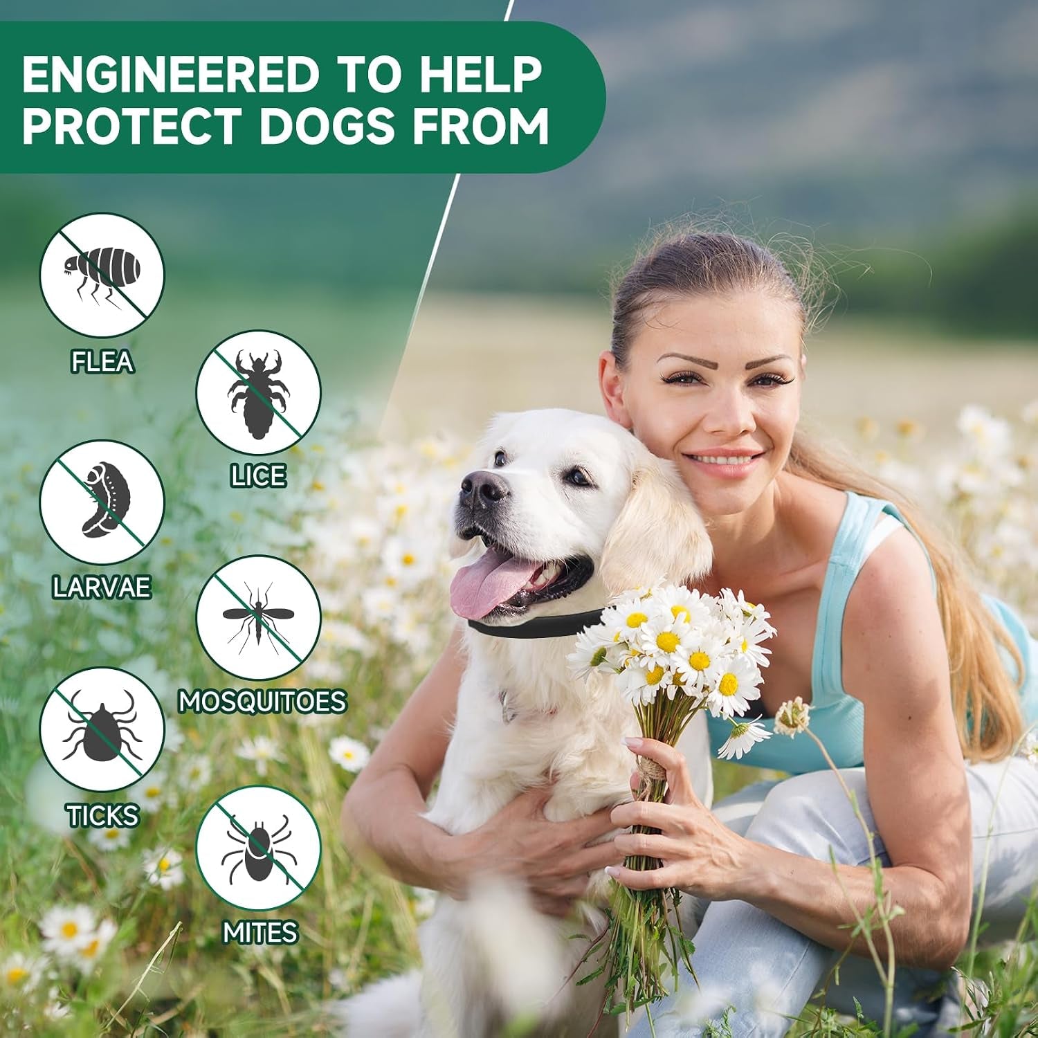 woyamay-4-pack-flea-collar-for-dogs-flea-and-tick-prevention-for-dogs-32-months-dog-flea-and-tick-treatment-adjustable-dog-flea-collars-dog-flea-treatment-collar-flea-treatment-for-dogs