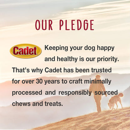 Cadet Gourmet Shish Kabob Dog Chews for Large Breeds, Rawhide Treats for Dogs with Chicken and Sweet Potato, Healthy & Natural Beef Hide, 10-Inch Sticks, 4 Count (Pack of 1)10