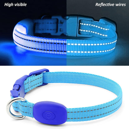 Light up Dog Collar for Small Dogs& Cats, Reflective LED Dog Collar Rechargeable Glowing Puppy Collar Safety Dog Lights for Night Walking (Royal Blue)2