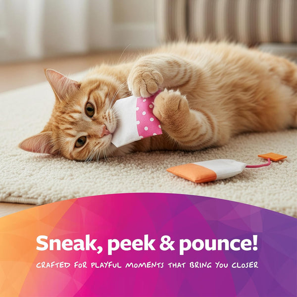 Smartykat (2 Count Tea Teazers Catnip Cat Toys - Pink/Orange, 2 Count5