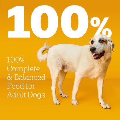 Pedigree Large Breed Adult Dry Dog Food, Roasted Chicken & Vegetable, 16 Lb | 36 Vitamins, Minerals & Amino Acids, Prebiotic Fiber, Supports Lean Muscle & Immune Health, Natural Flavors Only3