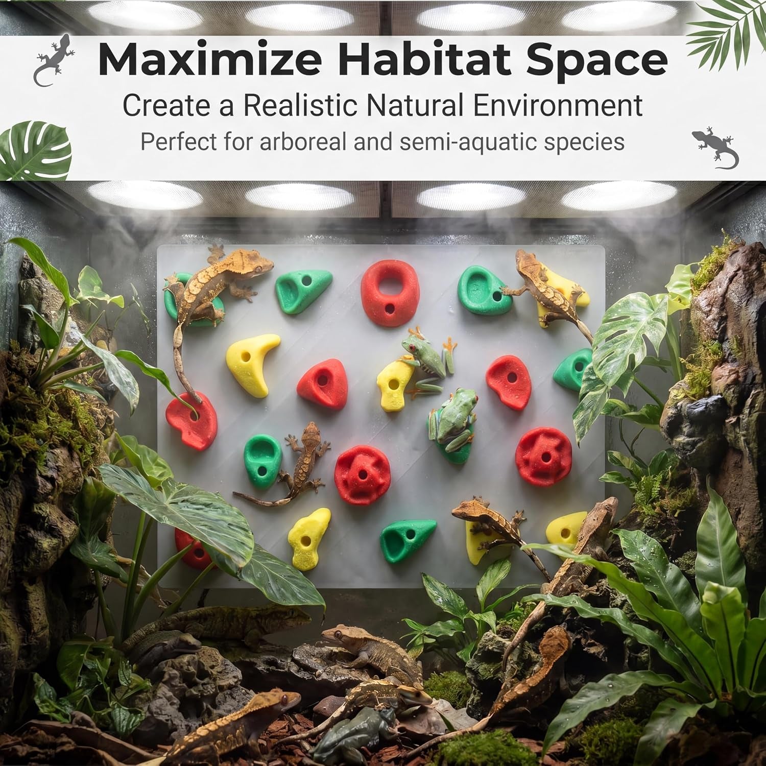 2-pack-climbing-wall-for-reptiles-terrarium-habitat-decor-2pcs-climbing-wall-for-reptiles-for-bearded-dragons-leopard-geckos-habitat-decor-enrichment