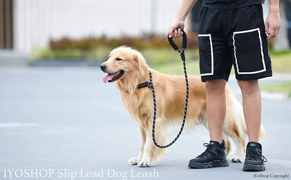 Iyoshop Durable Slip Lead Dog Leash with Padded Handle and Highly Reflective Threads, No Pull Dog Training Leash, (1/2" X 6 FT, Black)6