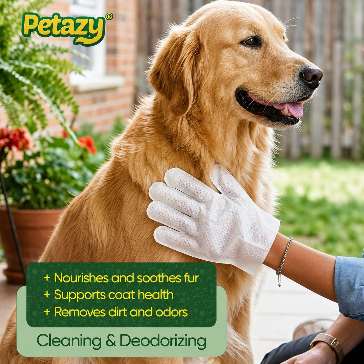 petazy-pet-glove-wipes-for-dogs-cats-hypoallergenic-thick-cleaning-gloves-with-aloe-coconut-oil-for-paws-face-ears-butt-instant-no-rinse-grooming-wipes-to-deodorize-and-hydrate-25-pack