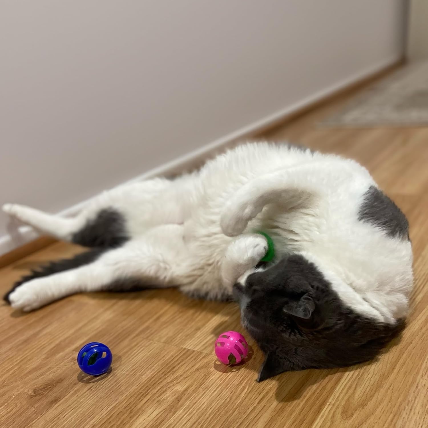 spot-slotted-balls-cat-toy-interactive-cat-toys-for-indoor-cats-to-chase-hunt-and-stimulate-jingle-bell-inside-for-sound-when-batted-around-safe-and-non-toxic-1-5-assorted-4-pack