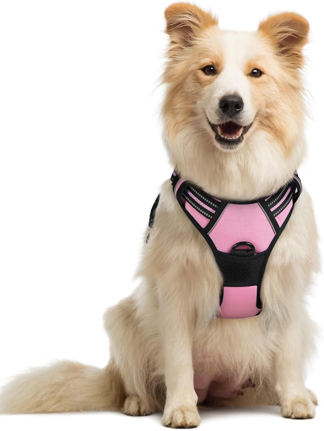 rabbitgoo-dog-harness-no-pull-for-large-dogs-with-2-leash-clips-pet-vest-no-choke-with-handle-adjustable-soft-padded-reflective-easy-control-for-walking-black-large
