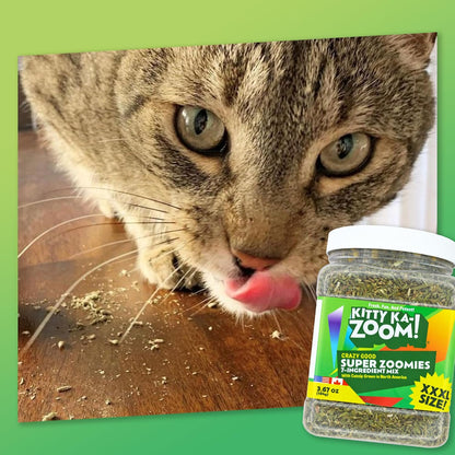 Super ZOOMIES Catnip Mix | High Potency, Hand Harvested | Hand-Harvested Fresh Catnip Mix for Cats; Sparks Zoomies & Active Play; Grown in Canada & USA, Nothing Artificial5