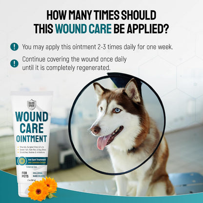 Dog Wound Care Ointment with Silver & Calendula for Scratches, Irritations, Bites – Feline & Canine Hot Spots Treatment in a Gel Form – Wound Antibiotic Ointment for Dogs & Cats – 2 Oz7
