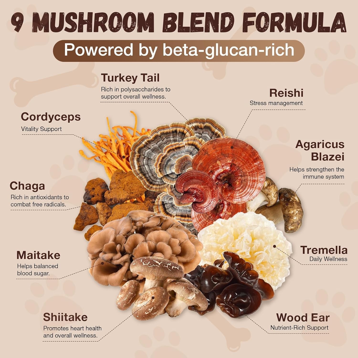 turkey-tail-mushroom-for-dogs-with-probiotics-mushroom-supplement-for-dogs-lumps-and-bumps-reishi-lions-mane-immune-boost-gut-health-lipoma-joint-skin-support-multivitamin-120-chews