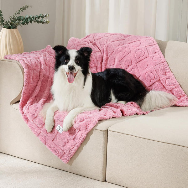 Luciphia Small Dog Blanket Washable Pet Bed Cover Soft Fluffy Puppy Blanket with Premium Fleece 300GSM Cozy Calming Cat Blankets for Indoor Cats Pink 30X20 Inch16