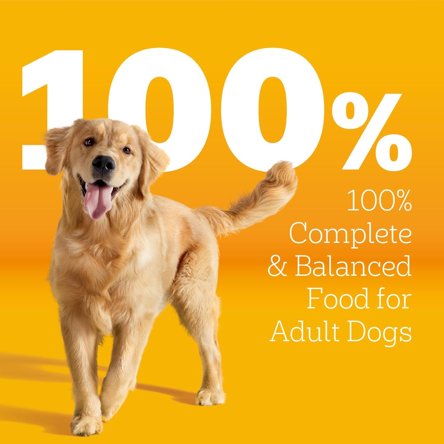 pedigree-tender-bites-dry-dog-food-chicken-steak-14-lb-easy-to-chew-two-textured-kibble-natural-fiber-for-healthy-digestion-36-vitamins-minerals-natural-flavors-only