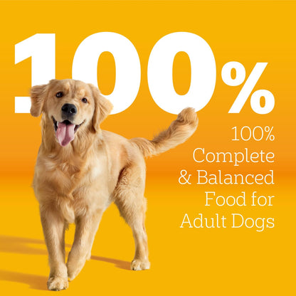 Pedigree Tender Bites Dry Dog Food, Chicken & Steak, 14 Lb | Easy-To-Chew Two-Textured Kibble, Natural Fiber for Healthy Digestion, 36 Vitamins & Minerals, Natural Flavors Only3