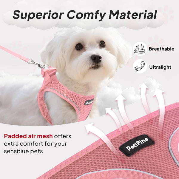 Small Dog Harness and Leash Set Breathable Step-In Puppy Cat Harness,Xs | Reflective for Safe Easy Walking,Soft Light Puppy Vest,Escape Proof,No Pull Harness for Dogs,All Weather Air Mesh Harness2