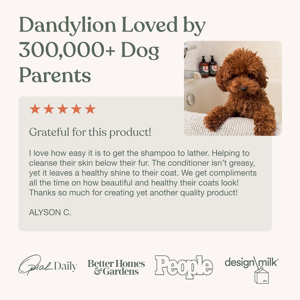 Dog Shampoo, Soothe Gentle Cleansing, Hydrating, Sensitive Skin, 16 Fl Oz | Dandylion Pet Shampoo, Fragrance Free, Ph Balanced, Plant Derived Formula for Dry Coats and All Coat Types, Dog Bath Supplies6
