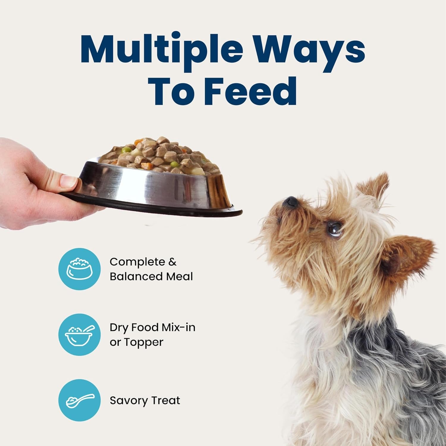 blue-buffalo-delights-variety-pack-natural-grain-free-wet-dog-food-for-small-breed-dogs-filet-mignon-flavor-new-york-strip-flavor-in-gravy-with-natural-ingredients-3-5-oz-each-12-cups