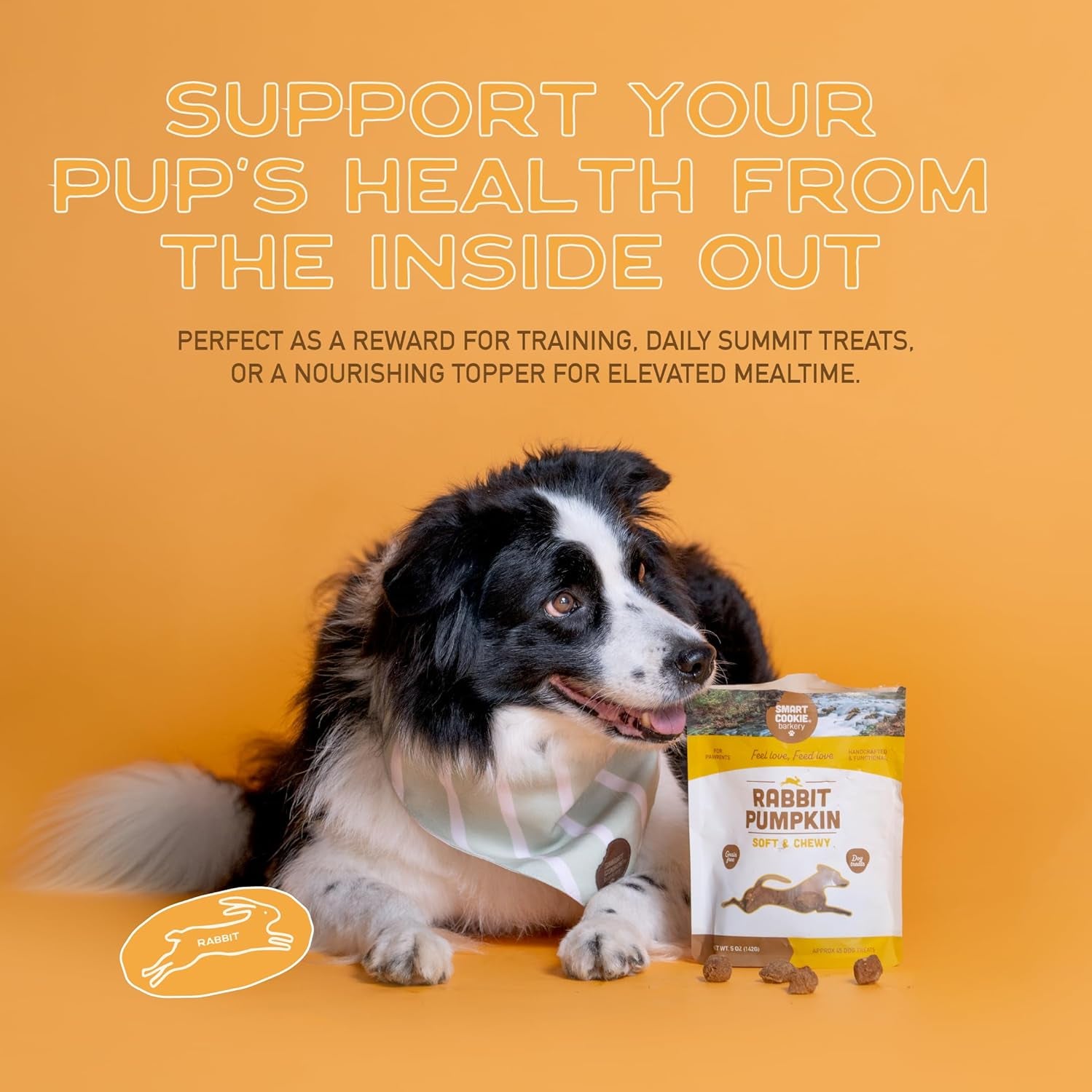 smart-cookie-healthy-soft-dog-treats-rabbit-pumpkin-grain-free-limited-ingredient-training-treats-for-dogs-with-sensitive-stomach-allergies-natural-novel-protein-made-in-the-usa-5oz
