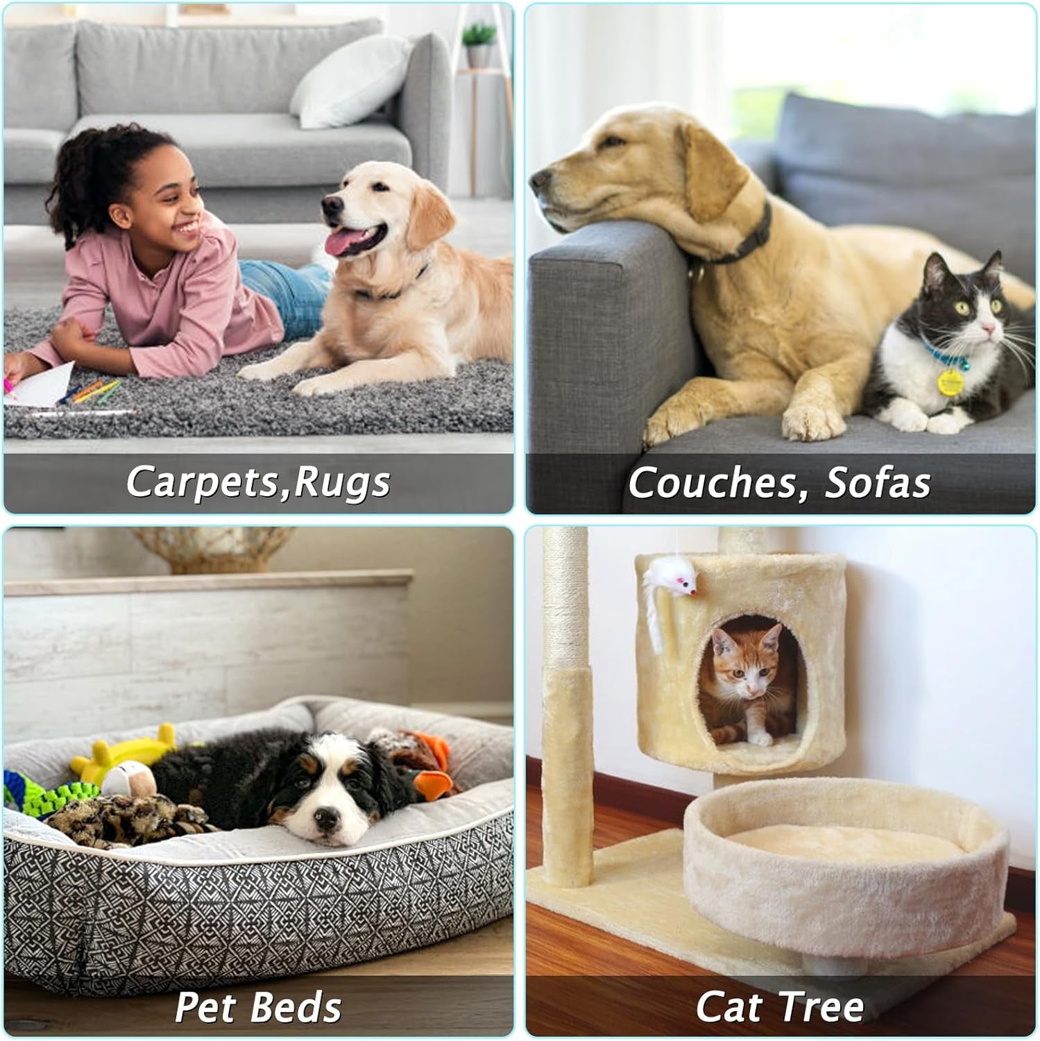carpet-rake-for-pet-hair-removal-tool-dog-cat-hair-remover-for-furniture-60-pet-hair-remover-broom-for-pet-owner-reusable-hair-remover-with-adjustable-handle-carpet-brush-for-rugs-mats-couch