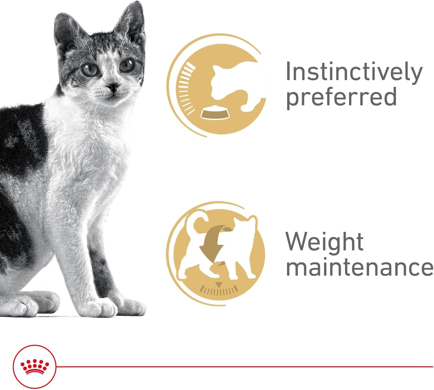 royal-canin-feline-health-nutrition-adult-instinctive-adult-thin-slices-in-gravy-cat-food-3-oz-pack-of-24