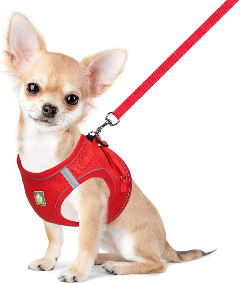 feimax-dog-harness-and-leash-set-no-pull-breathable-soft-mesh-puppy-vest-harness-reflective-adjustable-pet-harnesses-for-small-medium-dogs-and-cats-outdoor-easy-control-for-walking