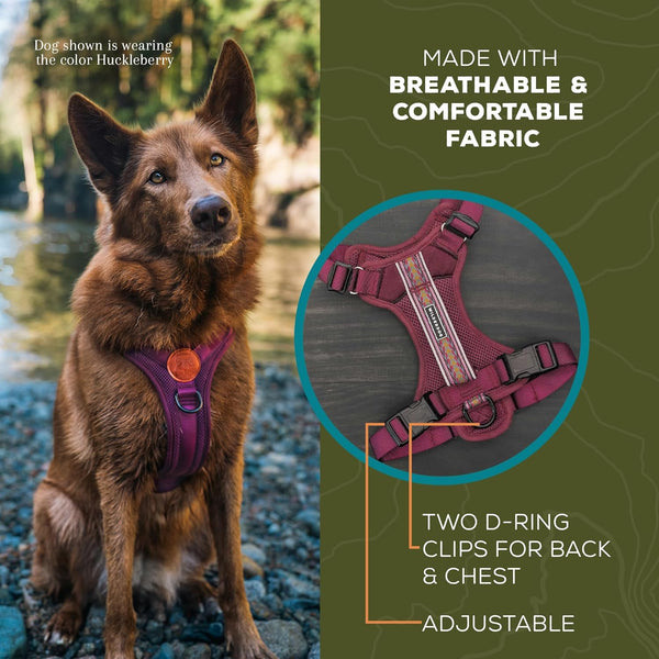 Wilderdog Lightweight Dog Harness with Reflective Straps - Medium - Huckleberry4