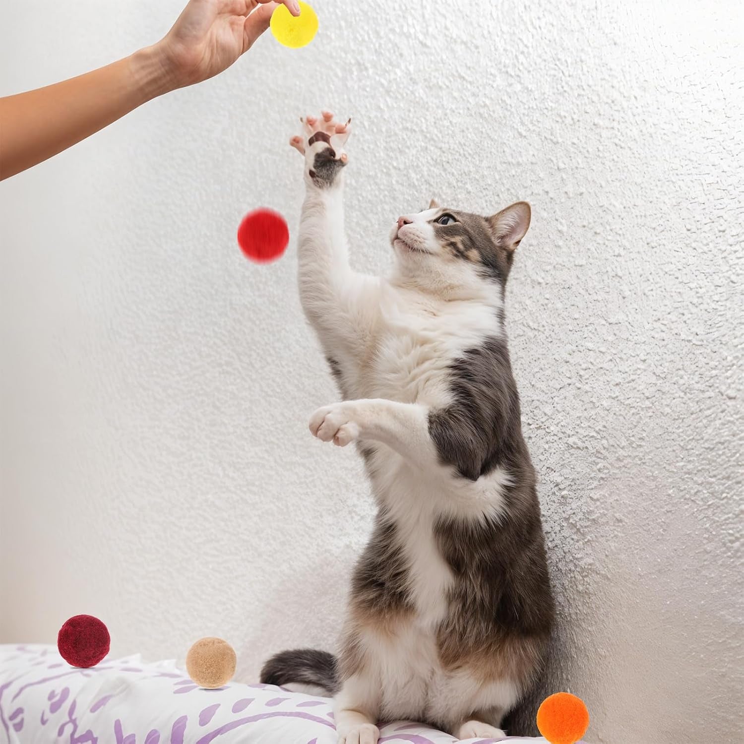 xthrotsenk-100-pcs-cat-toy-balls-1-inch-colorful-cat-pom-pom-balls-soft-interactive-kitten-ball-cats-exercise-toys-fuzzy-kitten-interactive-playing-quiet-toy-for-cats-pet2-5-cm