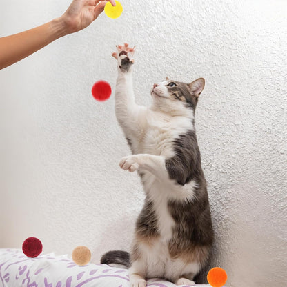 Xthrotsenk 100 Pcs Cat Toy Balls 1-Inch Colorful Cat Pom Pom Balls Soft Interactive Kitten Ball Cats Exercise Toys Fuzzy Kitten Interactive Playing Quiet Toy for Cats Pet(2.5 Cm)2