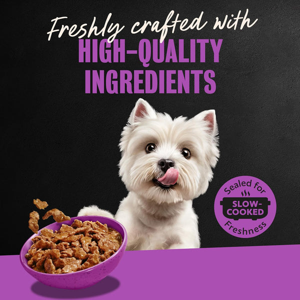 Cesar Filets in Gravy Wet Dog Food, Filet Mignon Flavor, 3.5 Oz, 24 Count | Real Beef, Easy to Digest, No Fillers, No Added Sugar, No Artificial Flavors, Slow-Cooked Tender Texture, Easy Peel Trays11