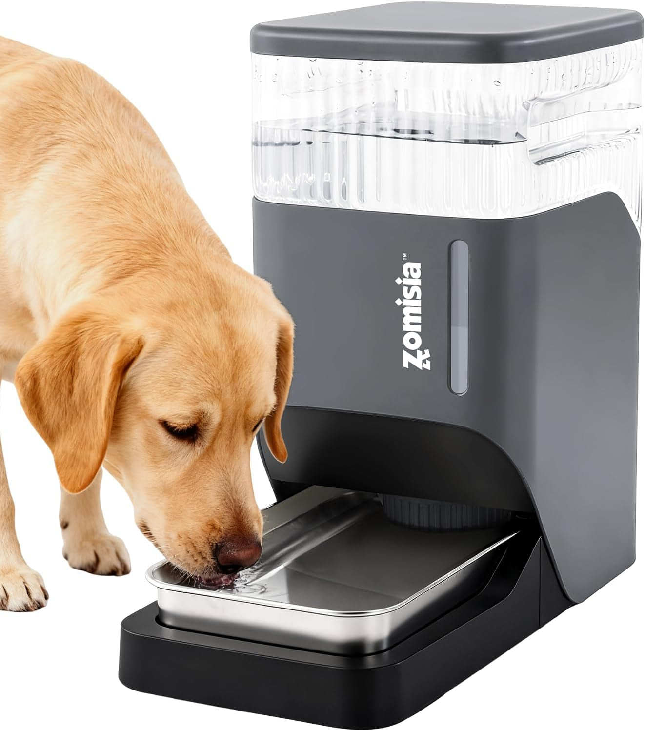 zomisia-automatic-dog-water-dispenser-8l-with-stainless-steel-bowl-gravity-large-capacity-water-bowl-for-dogs-2-gallon-pet-waterer-100-bpa-free-black