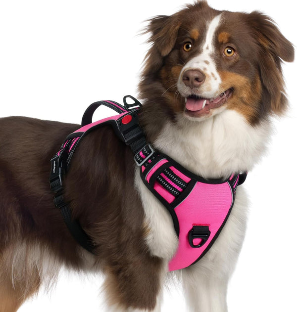 Rabbitgoo Large Dog Harness, Easy Wear with 3 Buckles and Lift Handle | No Pull with Front Clip for Walking, Adjustable Soft Padded, Reflective, Easy Control, Pink, Large29
