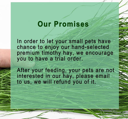 Timothy Hay, 1.1LB Small Pet Feed | Dust-Free, Natural Fresh Green Hay, Suitable for Rabbits, Guinea Pigs, Chinchillas, Tortoises2