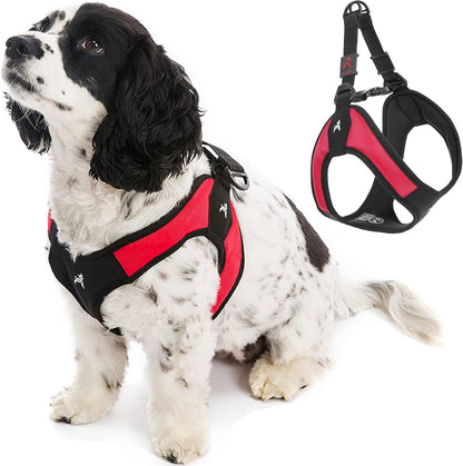 Gooby - Escape Free Easy Fit Harness, Small Dog Step-In Harness for Dogs That like to Escape Their Harness, Turquoise, Small9