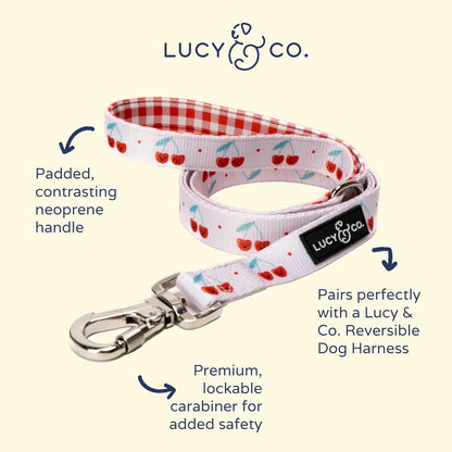 Lucy & Co. Cheery Cherries - Designer Dog Leash for Small to Large Dogs - Padded Handle for Comfort - Large, Red Gingham Cherries - 5 Foot2