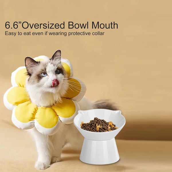 Detachable Elevated Cat Bowls, 15° Tilted Raised Cat Food Bowl Anti-Vomiting, Whisker Friendly, Adjustable Pet Cat Dishes for Protecting Spine, Adult Kitten (White)8