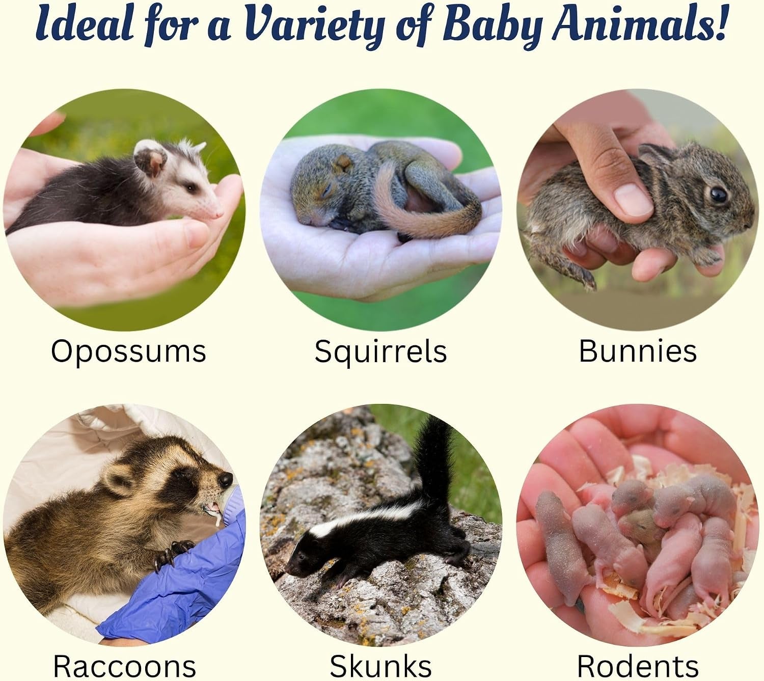 milk-replacer-healthy-powdered-formula-ideal-for-baby-squirrels-rabbits-opossums-raccoons-100-instantized-for-mixing-digestible-proteins-8-8oz-specialty-milk-replacer-8-8-oz