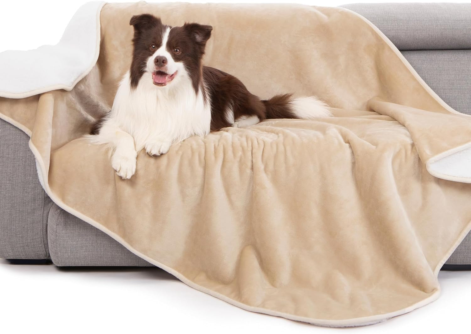 gogobunny-waterproof-bed-blanket-reversible-sherpa-fleece-throw-blanket-for-dog-puppy-cat-furniture-cover-protects-bed-couch-sofa-from-liquid-pee-and-pet-fur-dark-purple-50x60-inches