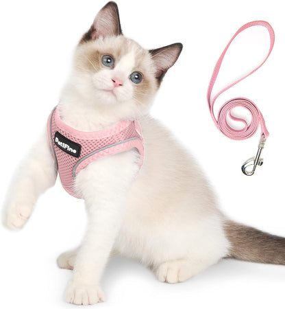 Small Dog Harness and Leash Set Breathable Step-In Puppy Cat Harness,Xs | Reflective for Safe Easy Walking,Soft Light Puppy Vest,Escape Proof,No Pull Harness for Dogs,All Weather Air Mesh Harness20